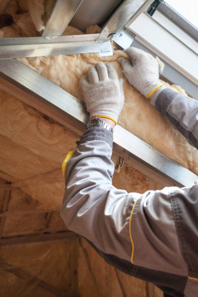 Best Cellulose Insulation in Reminderville, OH
