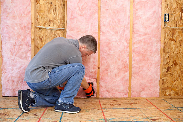 Best Blown-in Insulation in Reminderville, OH
