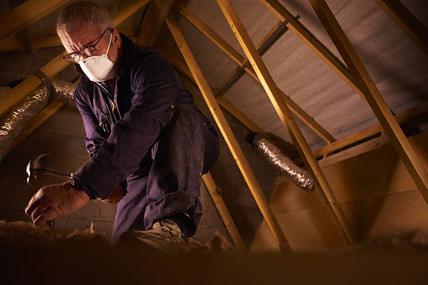Best Geographic-Specific Insulation Services in Reminderville, OH