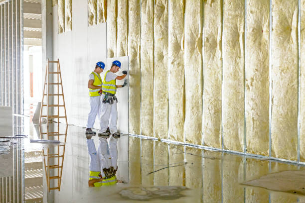 Best Fiberglass Insulation in Reminderville, OH